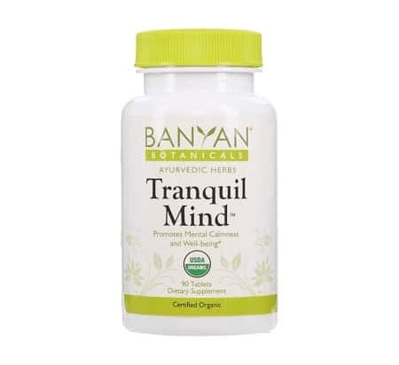 Tranquil Mind 500 mg 90 tabs - GARDEN PALACE™